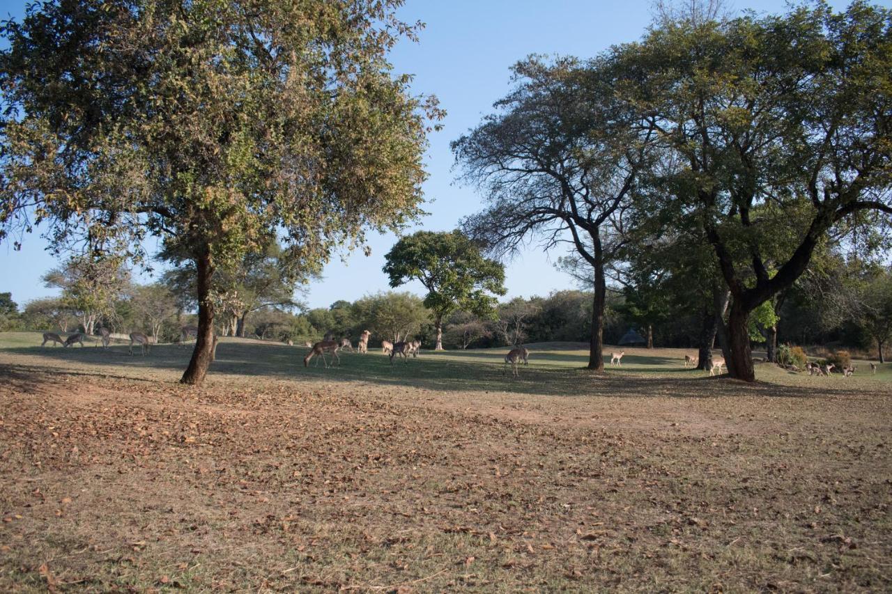 Kruger Park Lodge Unit 245 Hazyview Exterior foto